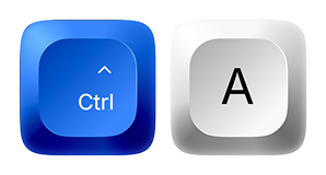 Ctrl+A